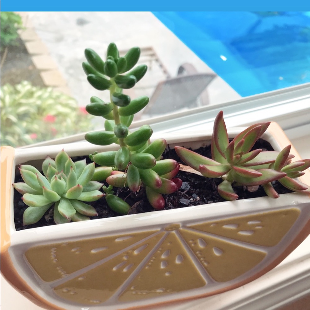 Meet your Posher, Tina